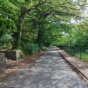 2009-04-28_1306383.jpg