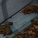 2010-04-01_01083812.jpg