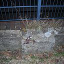 2010-04-03_01423210.jpg