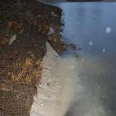 Elbe, soil, reed